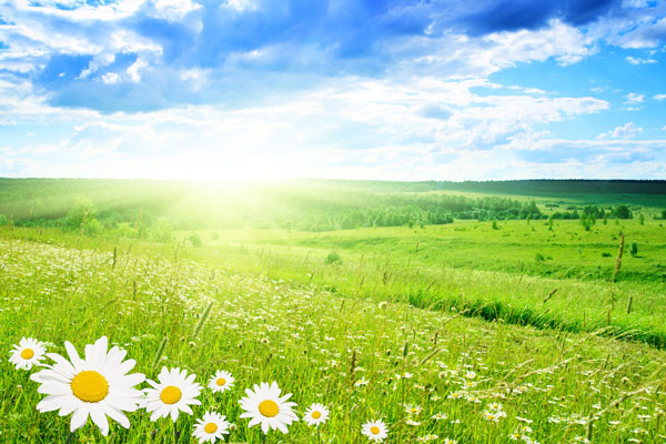 Qualité et environnement